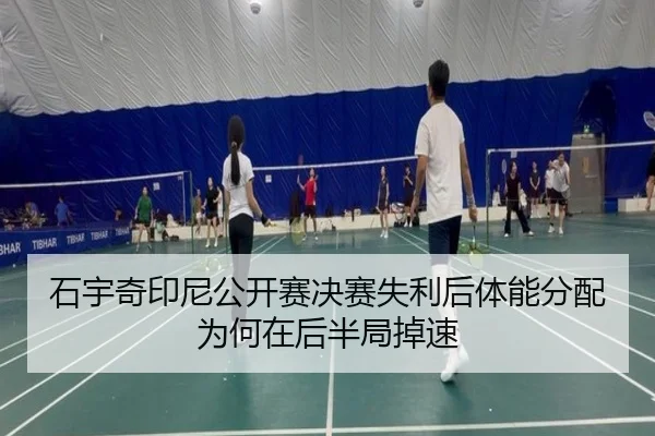 shi-yu-qi-yin-ni-gong-kai-sai-jue-sai-shi-li-hou-ti-neng-fen-pei-wei-he-zai-hou-ban-ju-diao-su-1-567.jpg