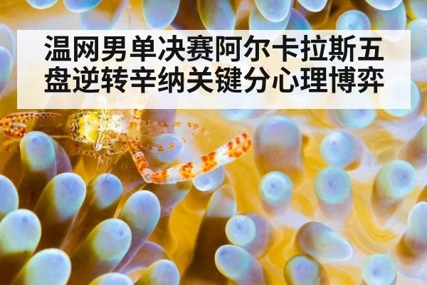 温网男单决赛阿尔卡拉斯五盘逆转辛纳关键分心理博弈
